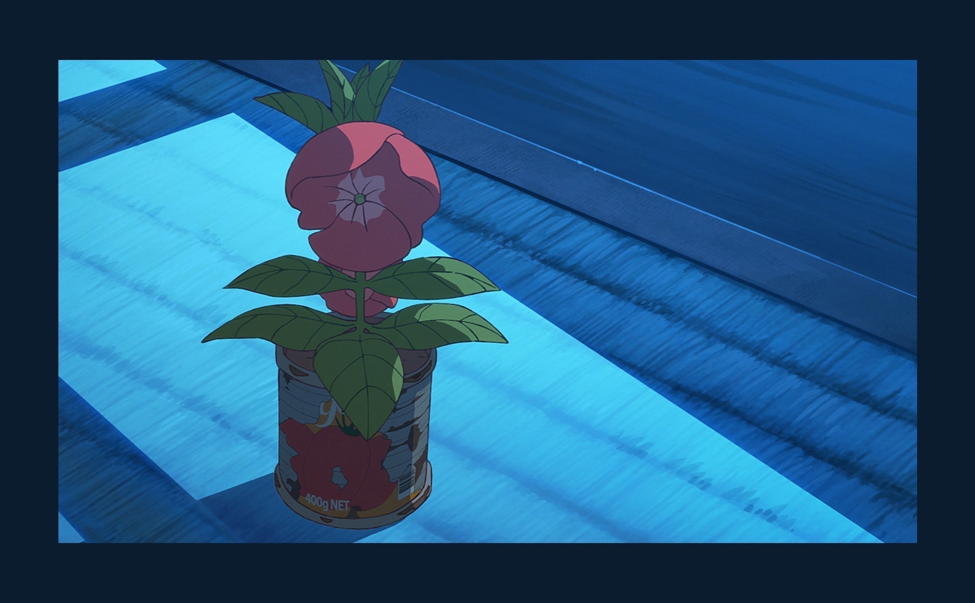 映画『ホウセンカ』の監督・キャラクターデザインを手がけた木下麦さんへの質問。